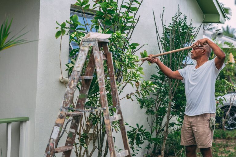 Exterior House Painting