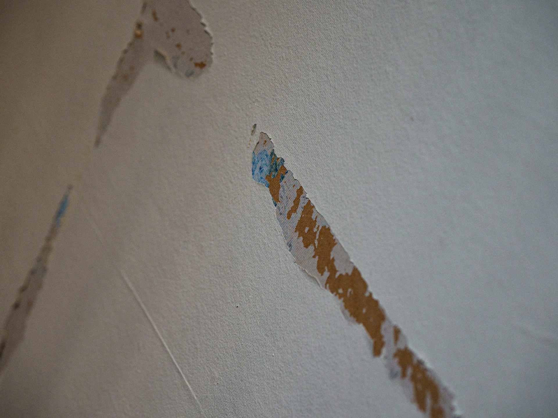Water Damage Problems